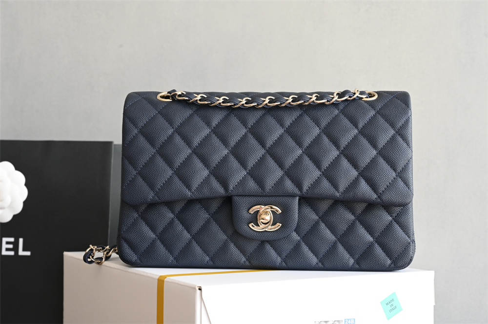 Chanel Classic Flap 25cm 2025 new 